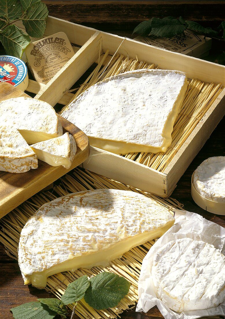 Various Brie cheeses and Camemberts