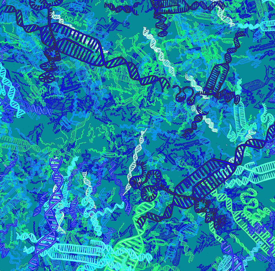 CRISPR-Cas9 gene editing, conceptual illustration