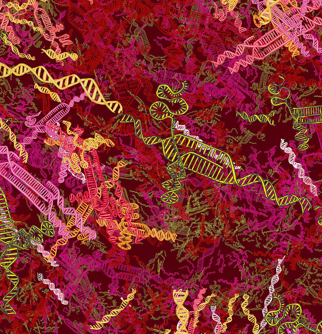 CRISPR-Cas9 gene editing, conceptual illustration