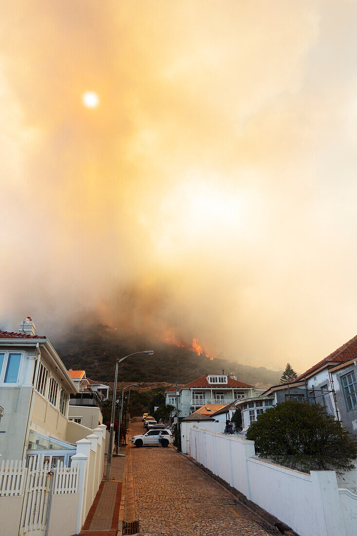 Summer wildfire, Western Cape, South Africa