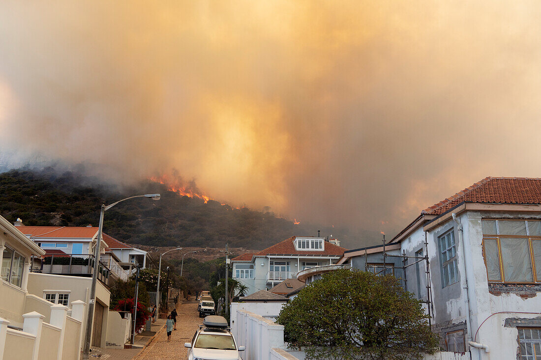 Summer wildfire, Western Cape, South Africa