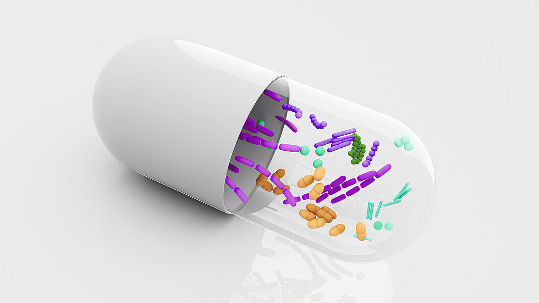 Probiotic supplement capsule, conceptual illustration