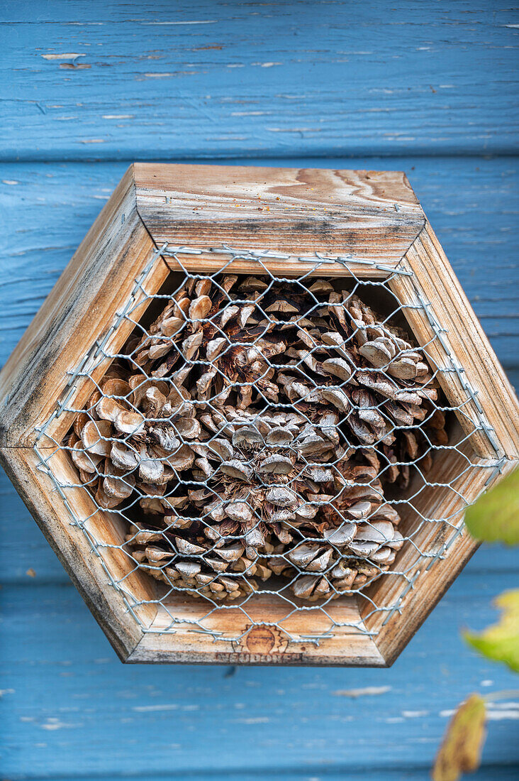 Insektenhotel in der Hauswand, close-up