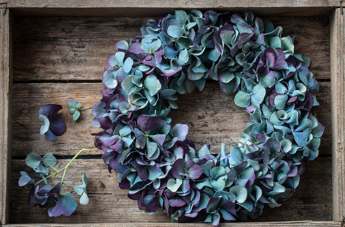 Sommerblumenkranz aus blauen Hortensien (Hydrangea) in Holzkiste