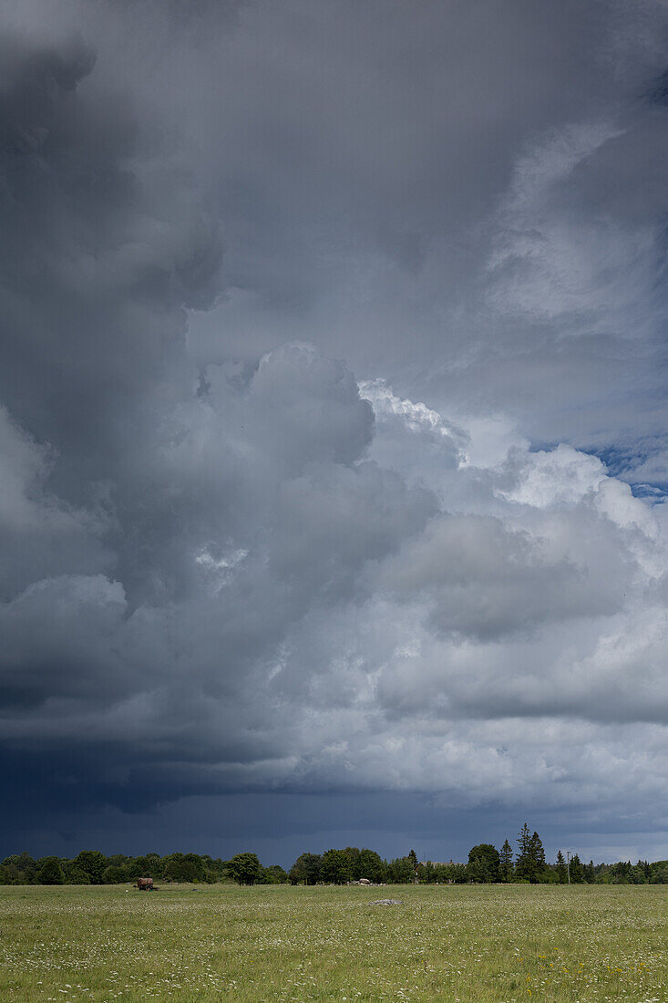 Storm clouds over a meadow in Saaremaa, Estonia