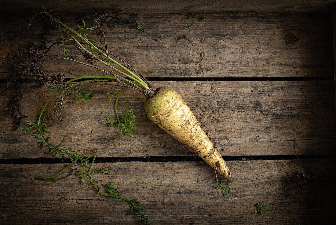 Küttiger Rüebli - old white carrot variety from Switzerland