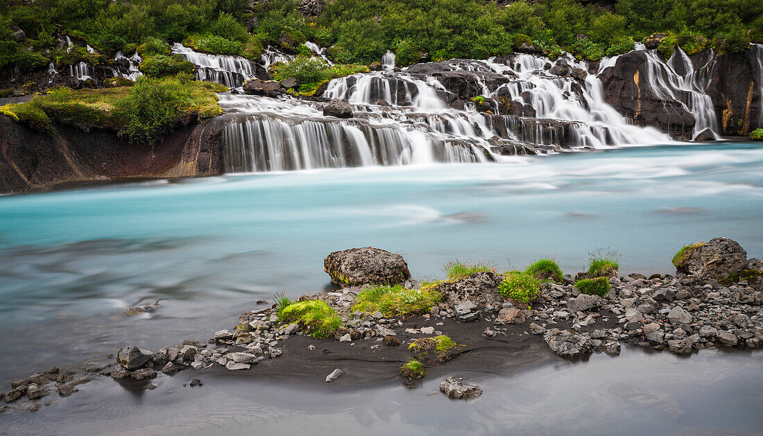 Hraunfossar Wasserfälle, die aus einem Lavafelsenfeld mit üppiger Vegetation fließen, Borgarfjordodur, Island