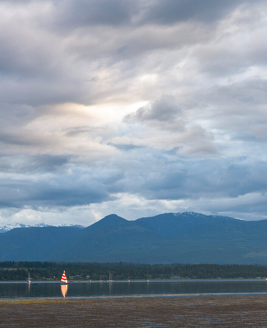 Segelboot mit roten und weißen Streifen zwischen anderen Booten, Straße von Georgia mit Bergen im Hintergrund, British Columbia, Kanada