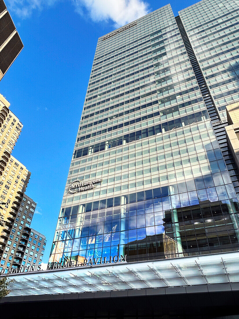 Helen L. and Martin S. Kimmel Pavilion, NYU Langone Health, New York City, New York, USA