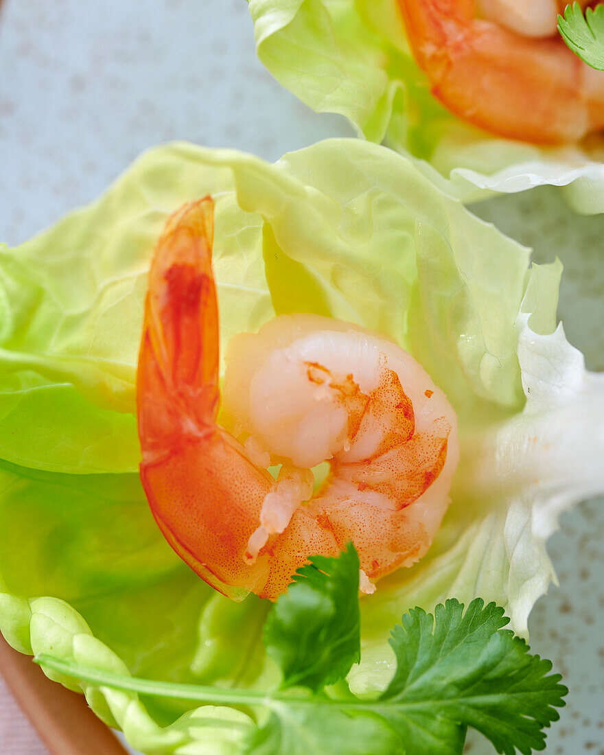 Salatblatt mit Garnele