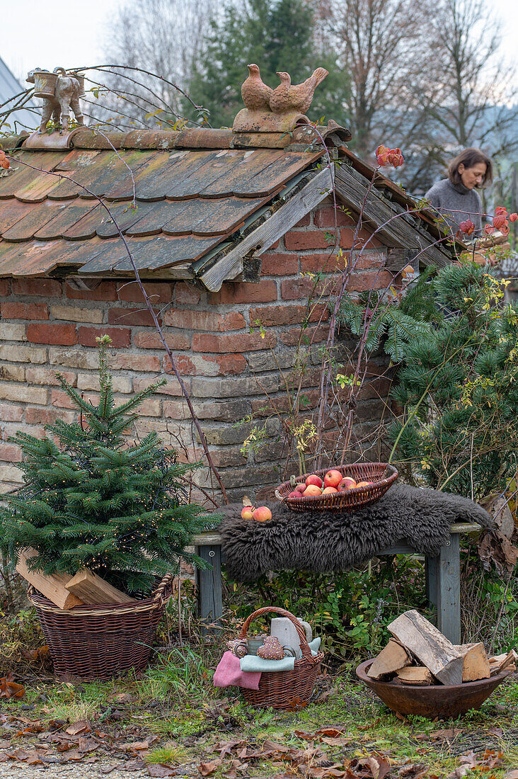 Feuerschale im Garten mit kleinem Tannenbäumchen, Picknickkorb, Äpfel auf Gartenbank, vor altem Backhaus