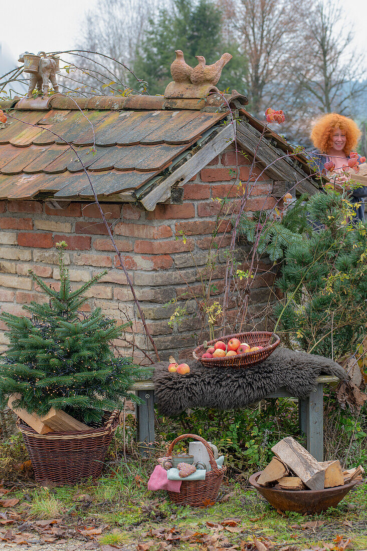 Feuerschale im Garten mit kleinem Tannenbäumchen, Picknickkorb, Äpfel auf Gartenbank, vor altem Backhaus