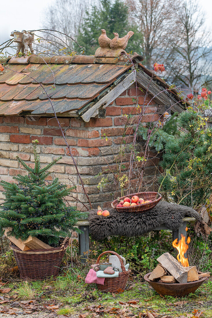 Feuerstelle im Garten mit kleinem Tannenbäumchen, Picknickkorb, Äpfel auf Gartenbank, vor altem Backhaus