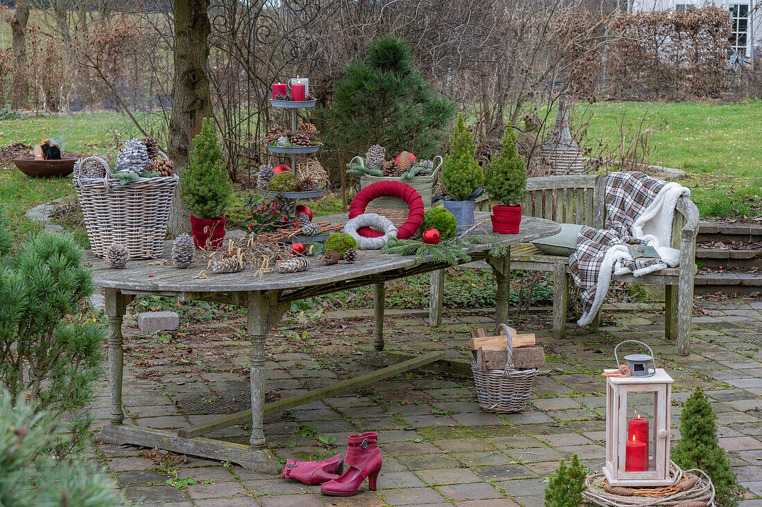 Weihnachtliche Etagere mit Kerzen, Zapfen, Christbaumkugeln, Moos, Zuckerhut-Fichte 'Conica' (Picea glauca), Windlicht und Stiefeletten im Garten