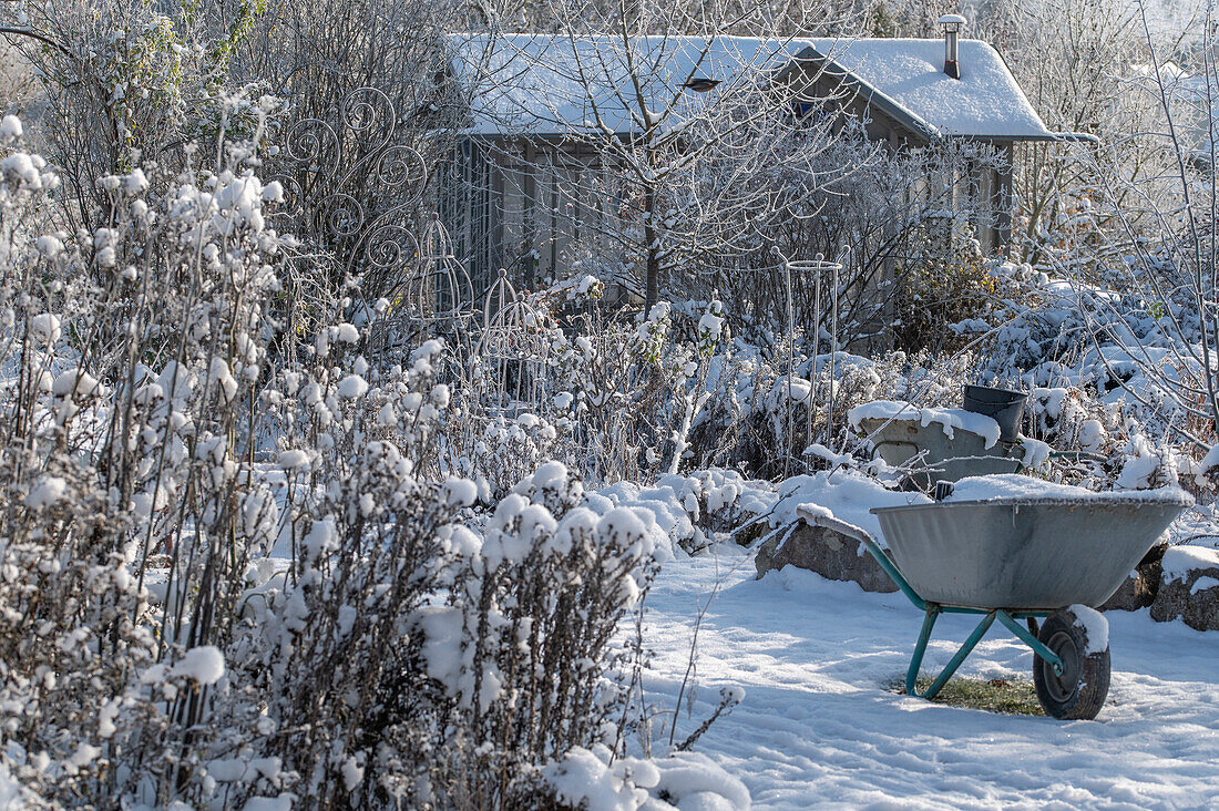 Bäume und Stauden in tief verschneitem Garten, Schubkarren und Gartenhaus