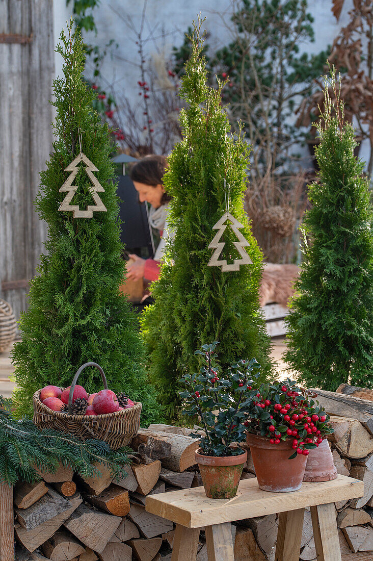 Weihnachtliche Terrasse, Zypressen im Topf mit Christbaumanhänger, Stechpalme (Ilex), Äpfel im Korb und Holzstoß