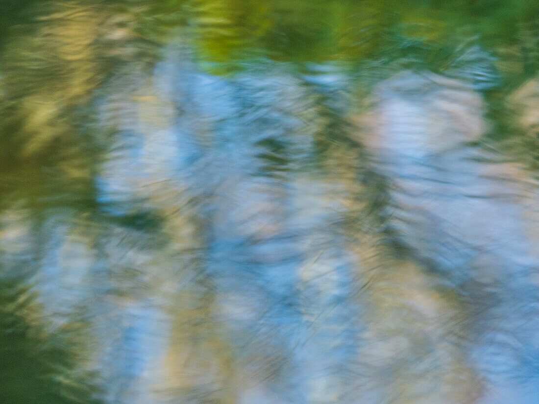 Rippled reflection in pond