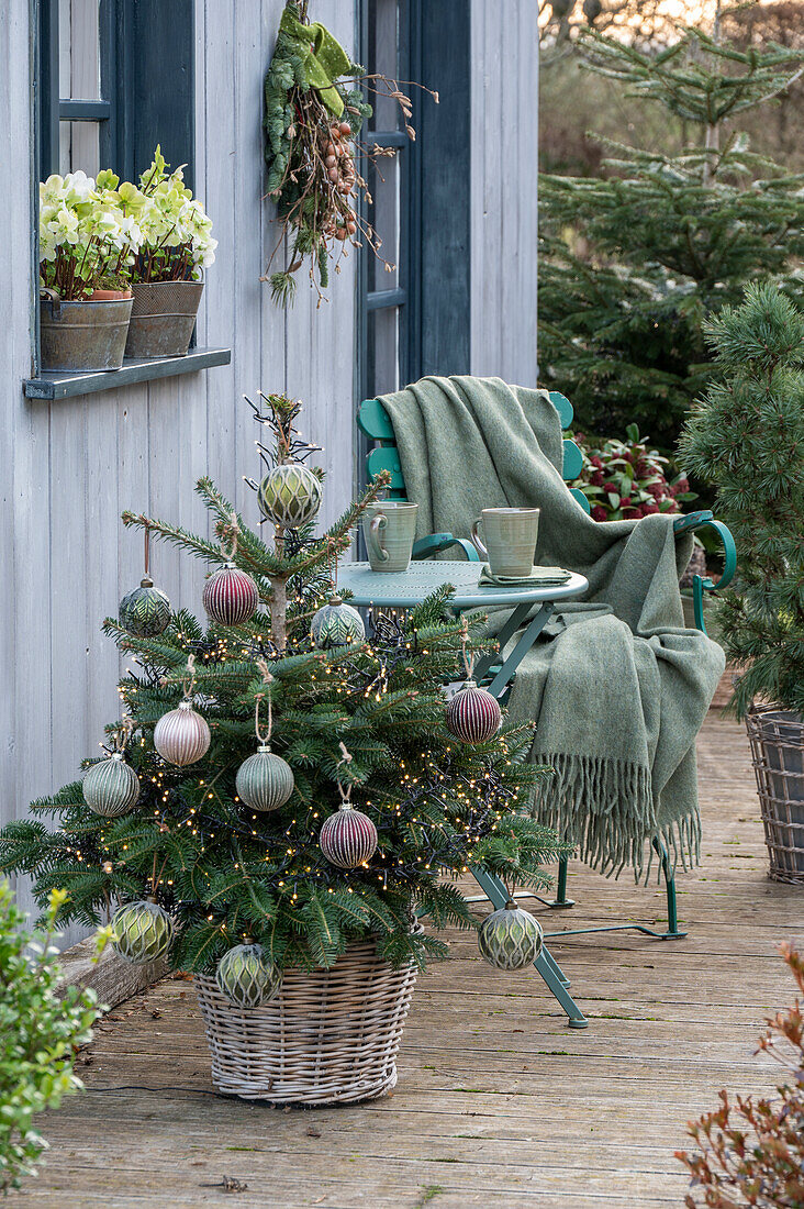 Weihnachtsdeko auf der Terrasse, Christbaum, Kerzen, Christrosen (Helleborus) im Topf, vor Sitzplatz