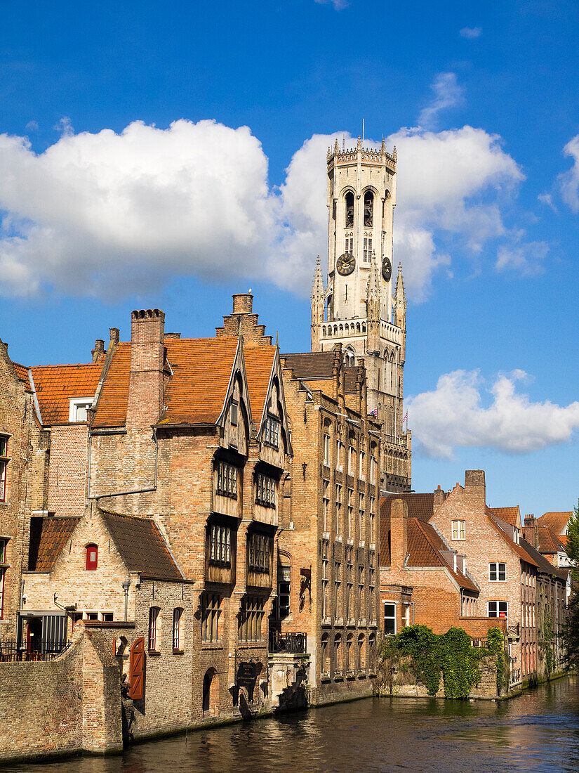 Belgium, Bruges. Belfry of Bruges towers over the buildings at the junction of the Groenerei and Dijver canals.