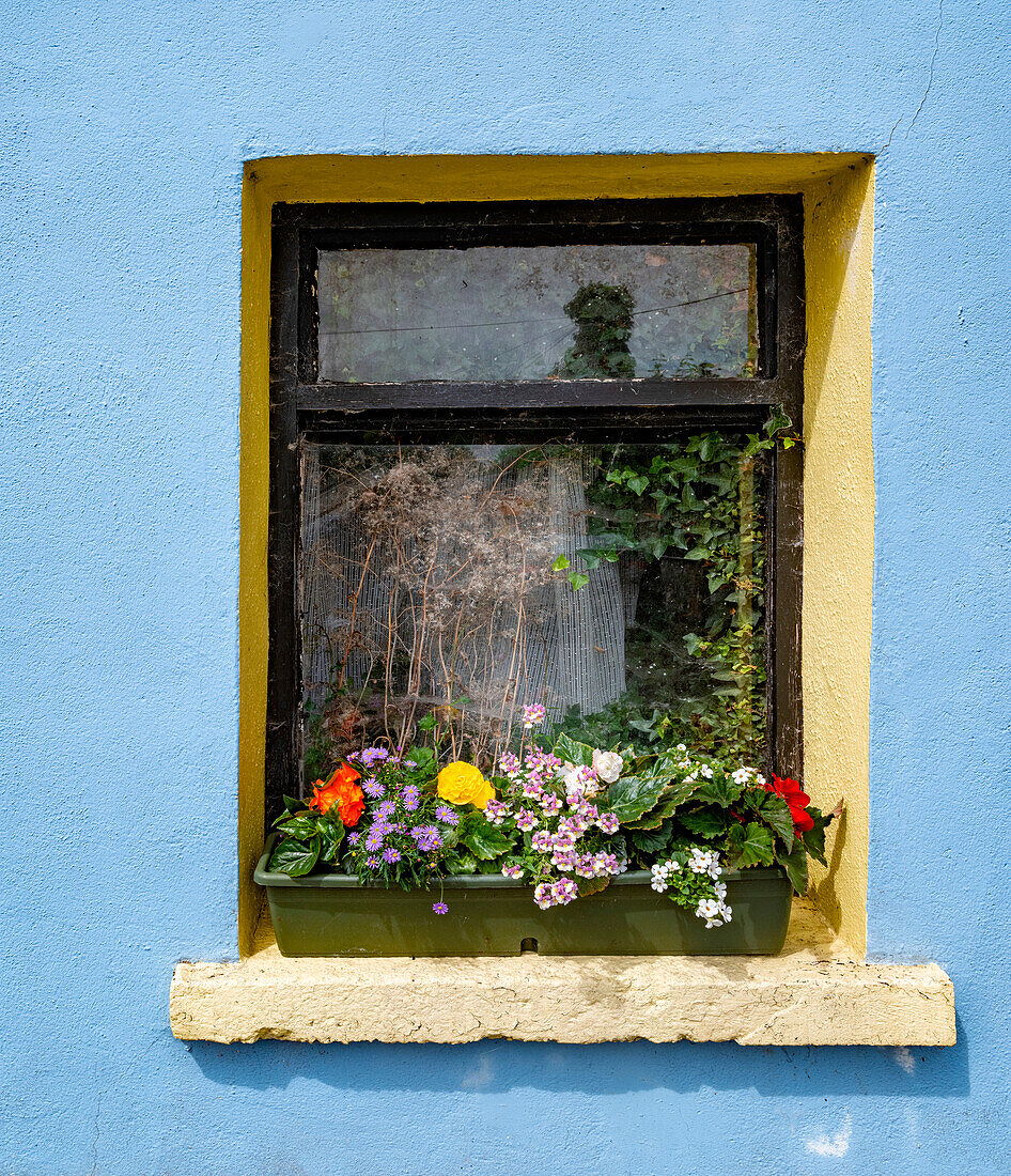 Fenster grüßt Besucher in der Ortschaft Cong, Grafschaft Connacht, Irland.