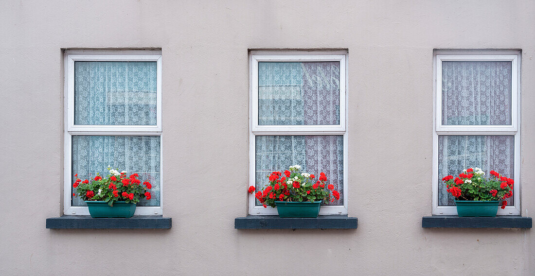 Fenster grüßt Besucher im Dorf Cong, Grafschaft Connacht, Irland.