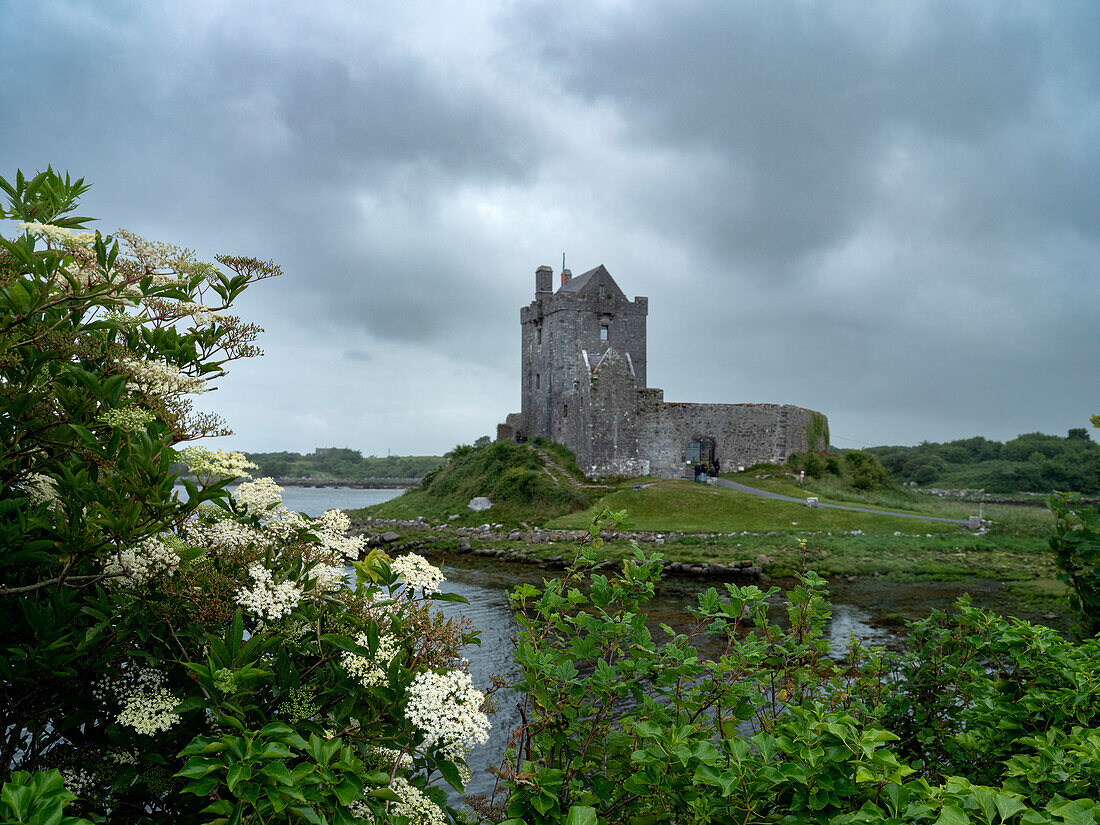 Dunguaire Castle, a famous landmark, is located on Galway Bay, Ireland.