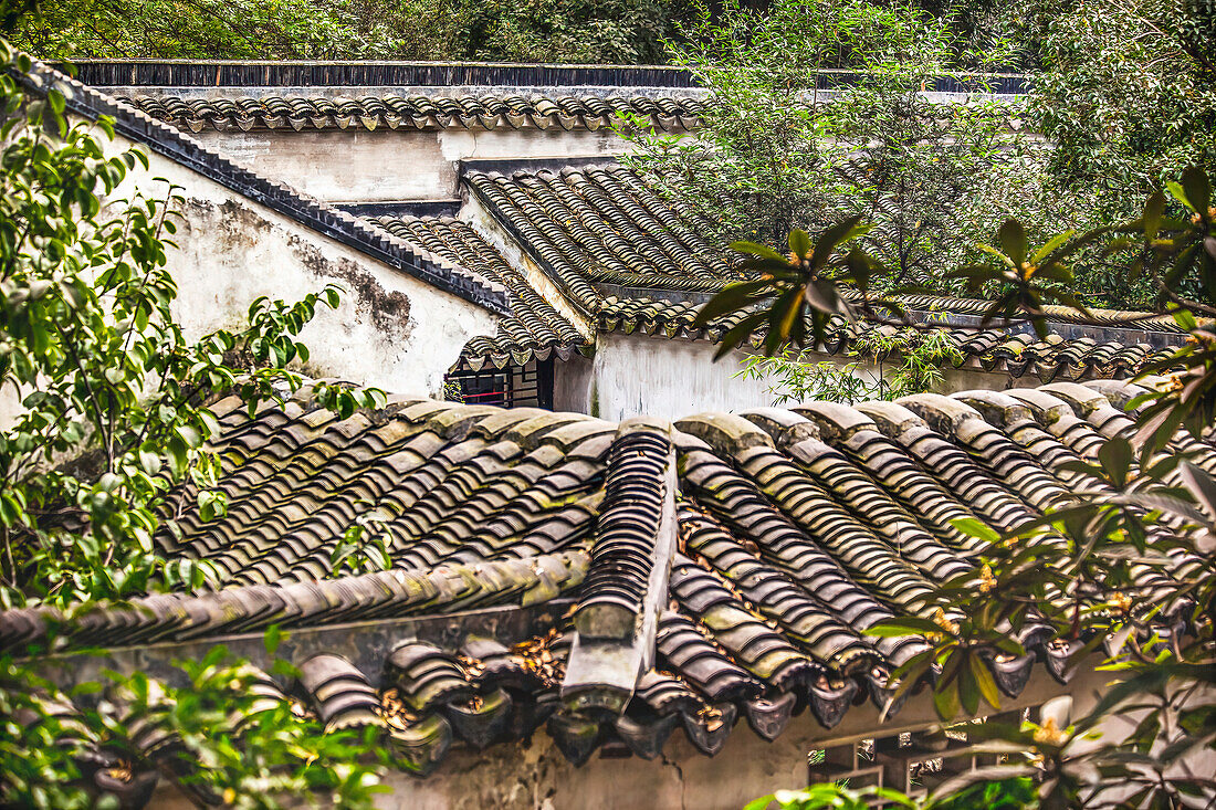 Garten des bescheidenen Verwalters, Zhou Zheng Yuan, alte chinesische Häuser Suzhou, Jiangsu, China. Erbaut in den 1500er Jahren