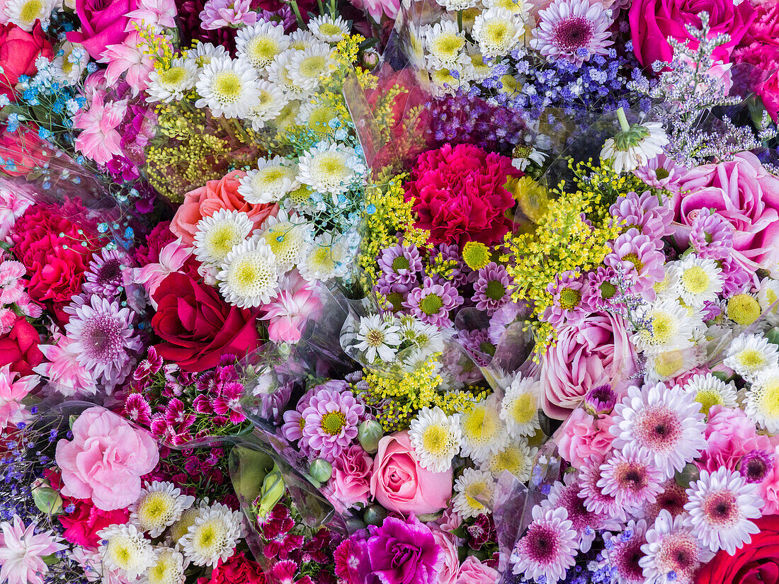 China, Hong Kong. Flower market.