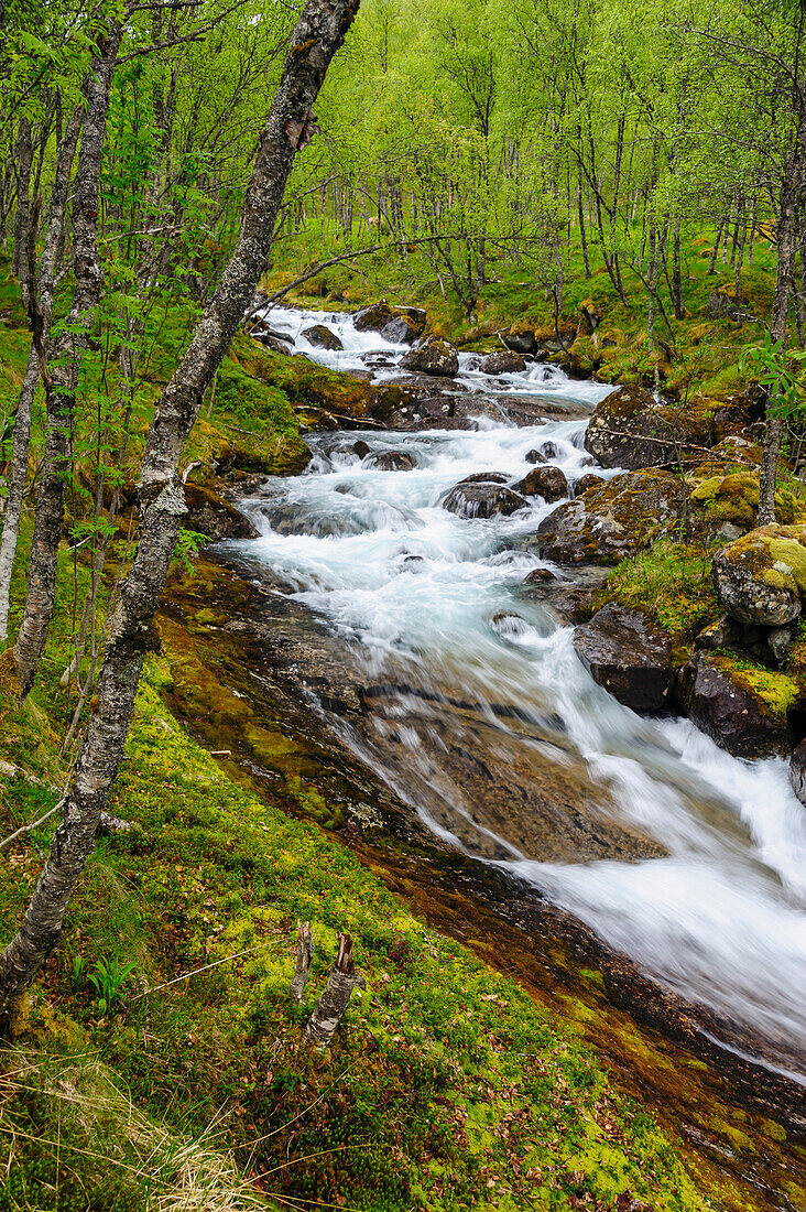 Norway, Nordland, Tysfjord. Storelva, the river that flows from Stetind (Norway's national mountain).