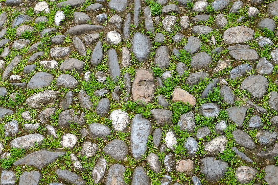 Granada, Spanien. Alter Steinweg mit Moos