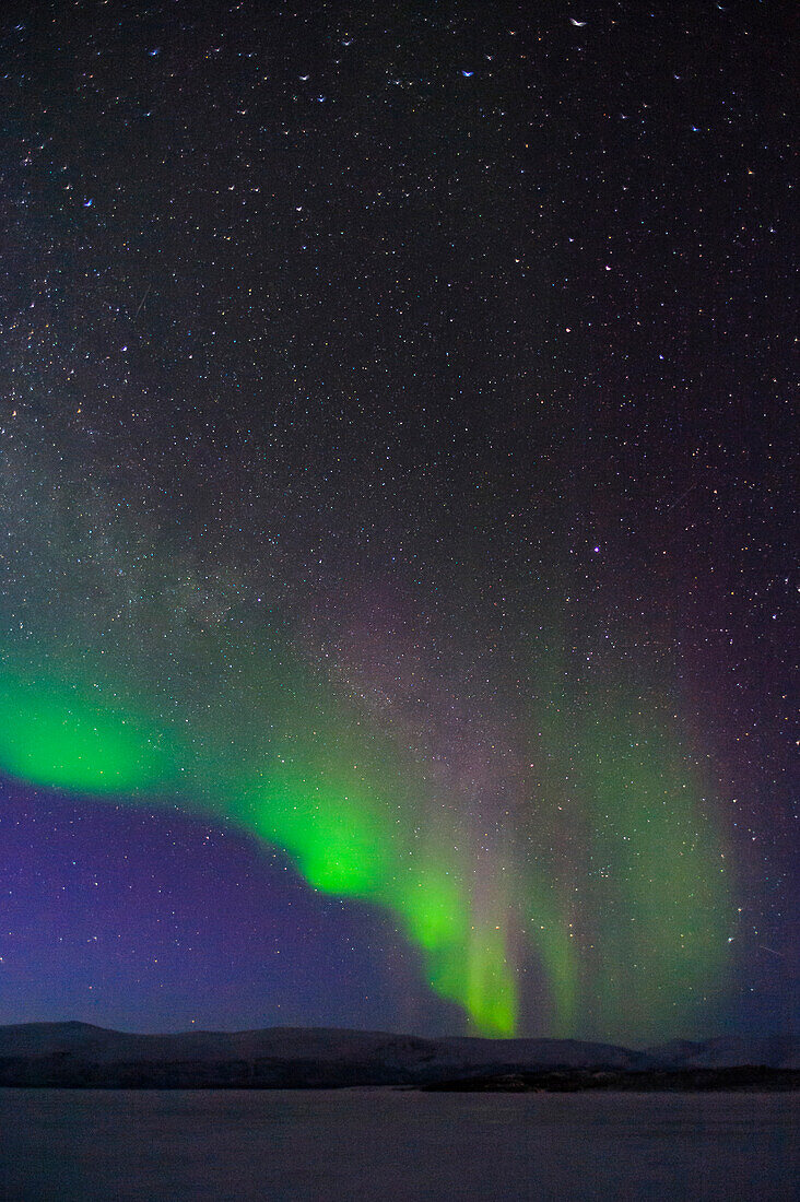Schweden, Norrbotten, Abisko. Aurora Borealis (Nordlicht) über dem Torne-See.