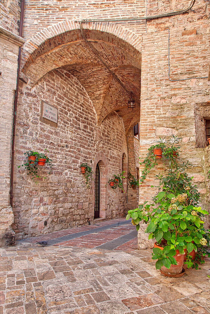 Italien, Umbrien. Bogengang mit Topfblumen in den Straßen von Assisi.