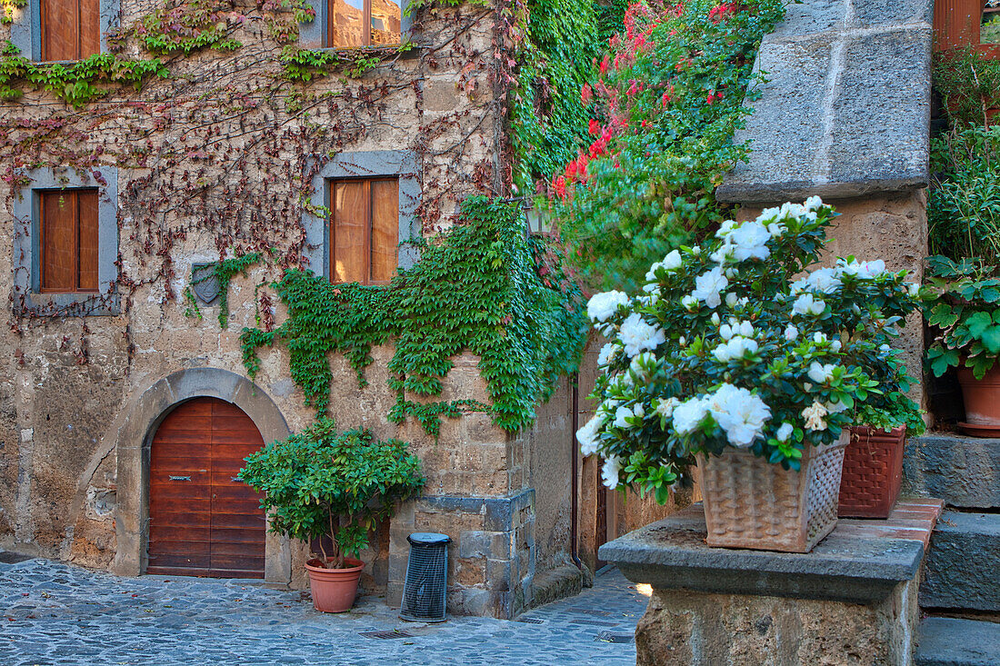 Italy, Tuscany. In and around the medieval hilltown of Civita di Bagnoregio.
