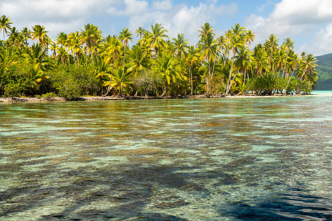 French Polynesia, Taha'a. Ocean corals and tropical forest.