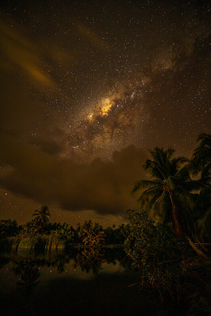 French Polynesia, Taha'a. Palm trees and night sky with Milky Way.