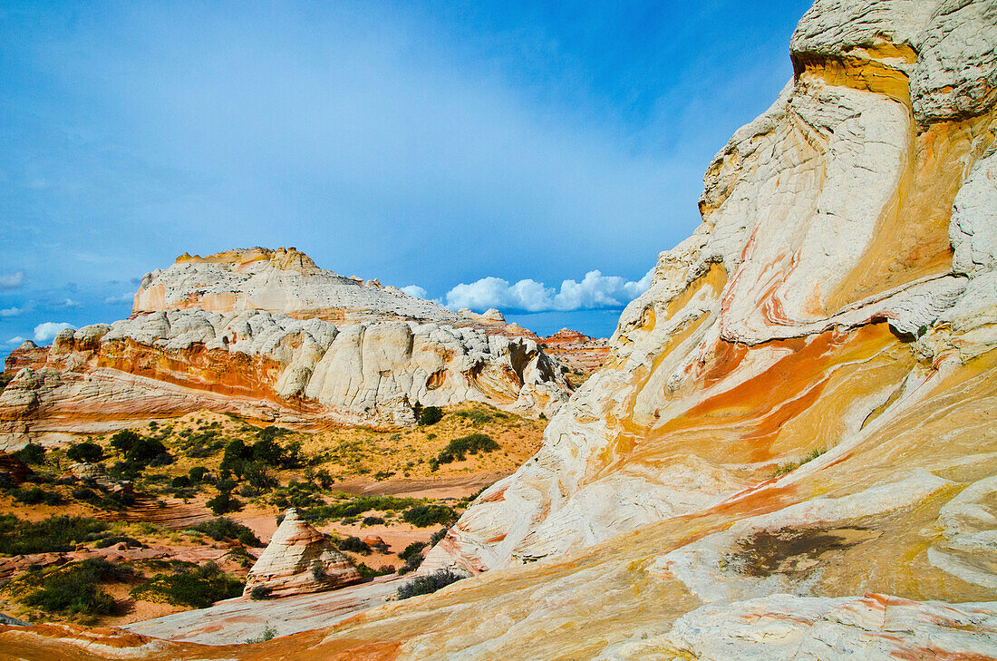USA, Arizona, Vermilion Cliffs National Monument. Weiße Tasche, wirbelnde, mehrfarbige Formationen aus Navajo-Sandstein
