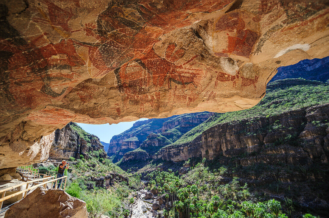 Mexico, Baja California Sur, Sierra de San Francisco. Tourist viewing rock art pictograph by the Cochimí people in Cueva Pintada.