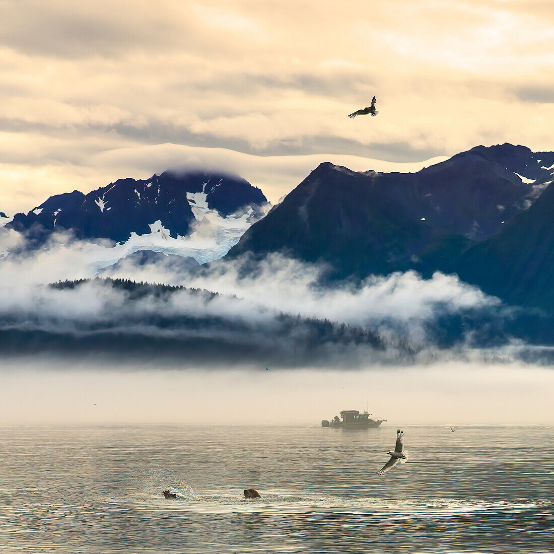 Fishing boat in Kenai Peninsula surrounded by mountains and wildlife