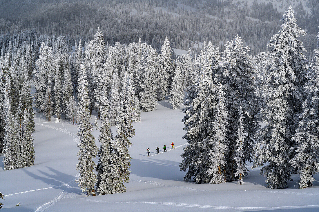USA, Idaho. Vier Skifahrer beim Klettern auf einer Piste in der Nähe des Bear Lake