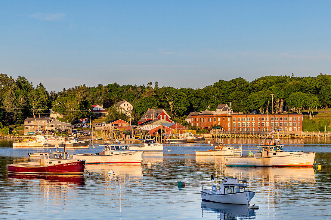 Fishing boats in harbor in Bernard, Maine, USA