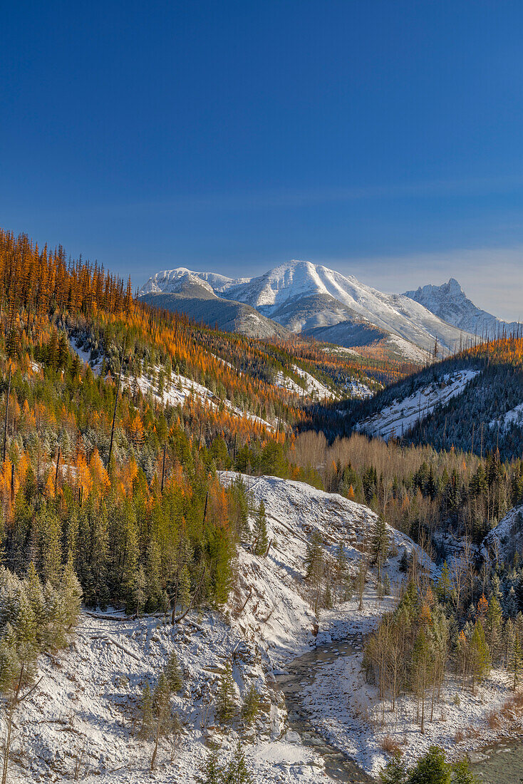 Coal Creek mit Cloudcroft Peaks im Spätherbst im Glacier National Park, Montana, USA