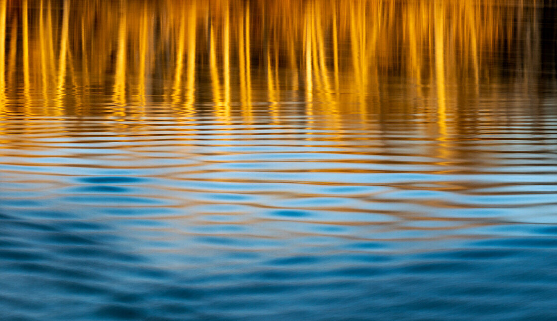 Letztes Licht des Tages am Ufer des Flathead River in Kalispell, Montana, USA