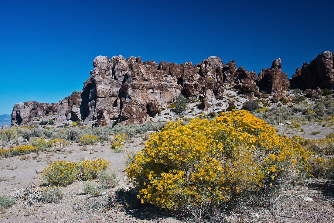USA, Nevada. Caliente. Basin and Range National Monument,