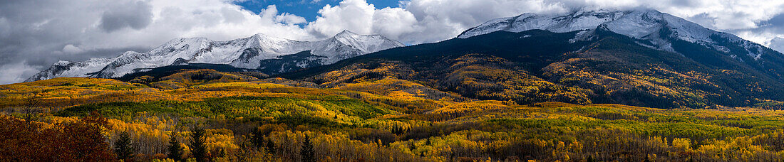 USA, Colorado. Hell getupfte Espenwälder, Kebler Pass, Gunnison National Forest