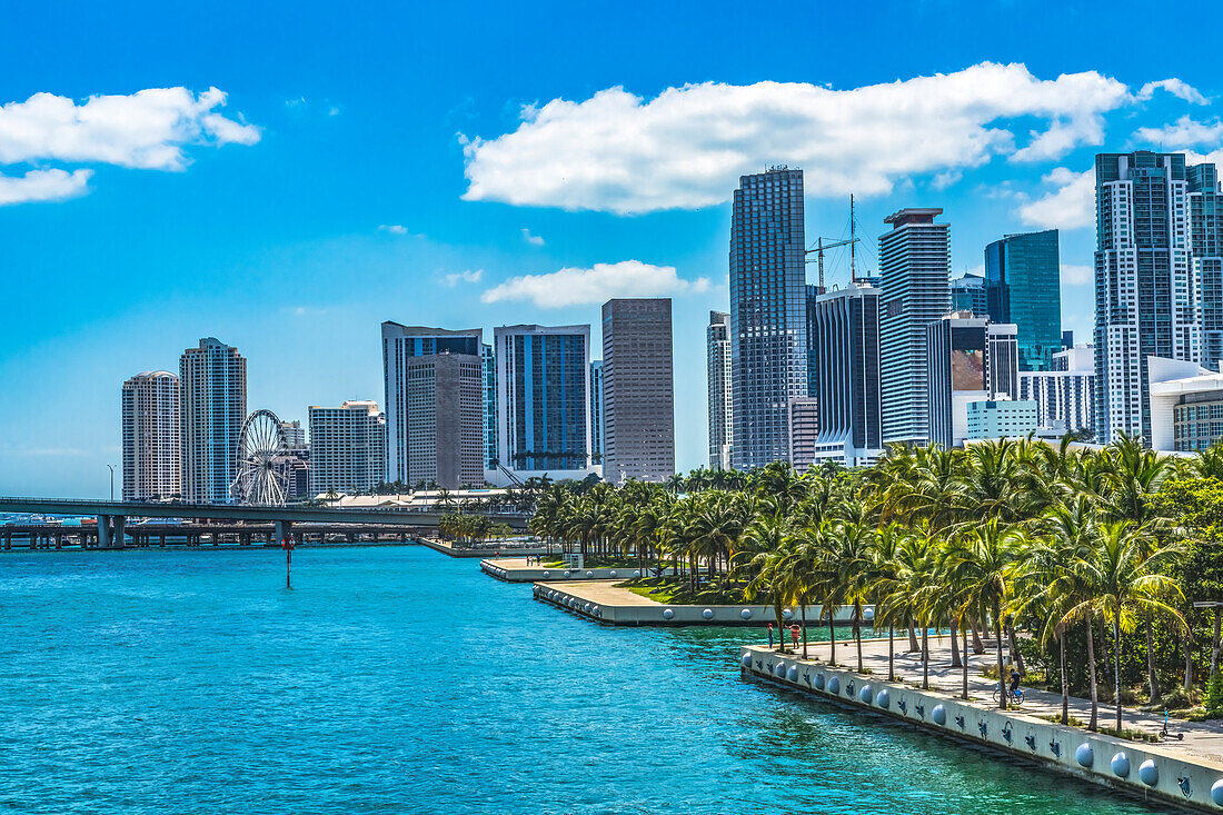 Downtown skyscrapers, Miami, Florida