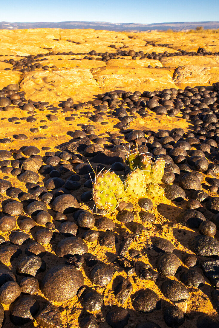 USA, Utah, Grand Staircase Escalante National Monument. Moqui-Marmorsteine und -Felsen.