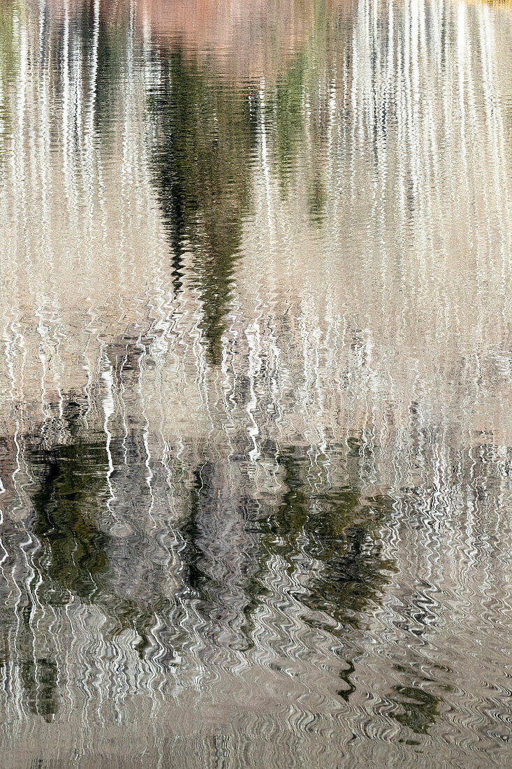 USA, Utah. Reflections on Warner Lake, Manti-La Sal National Forest.