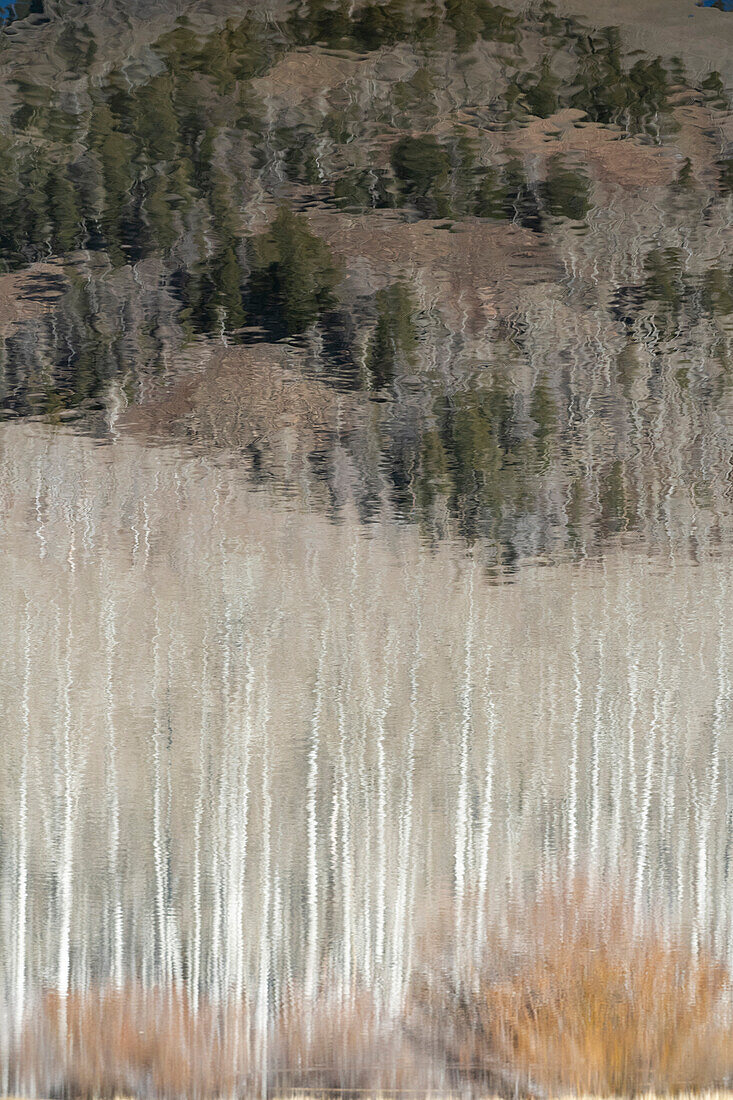 USA, Utah. Reflections on Warner Lake, Manti-La Sal National Forest.