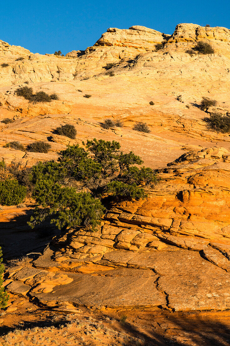 Vereinigte Staaten von Amerika, Utah. Sandsteinformation und kreuzweise geschichtete Schichten, Canyonlands National Park, Island in the Sky.