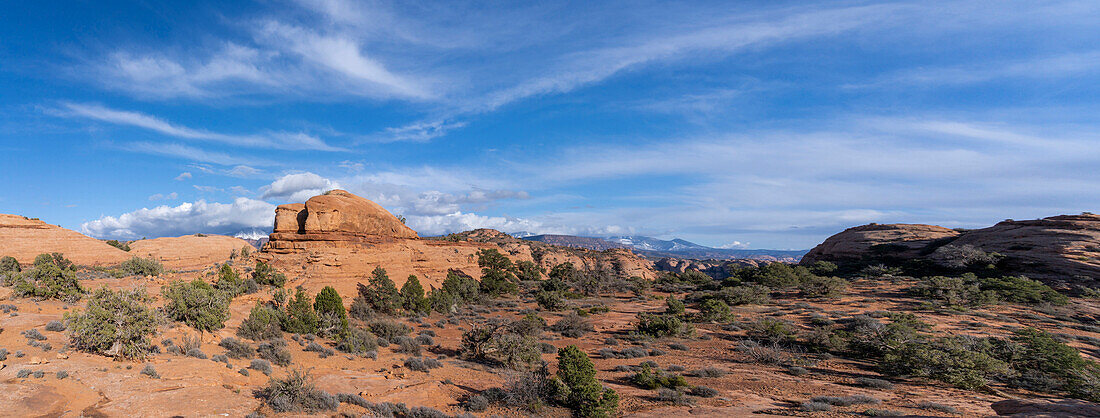 USA, Utah. Sandstone geological formations, Sand Flats Recreation Area, near Moab.